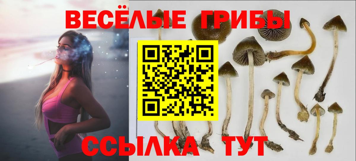 Псилоцибиновые грибы мухоморы  Галлюциногенные грибы Magic Shrooms  Гай  Вход с VPN 